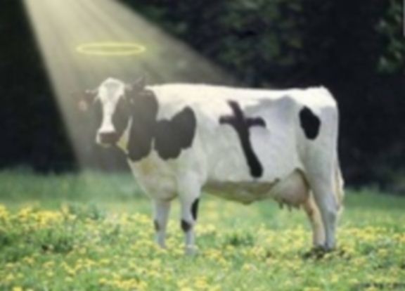 We Are the “Divine Source of Existence.” Holy-cow