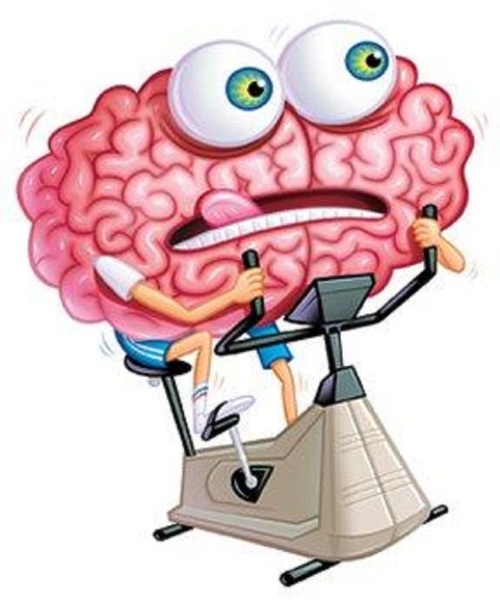 brain treadmill