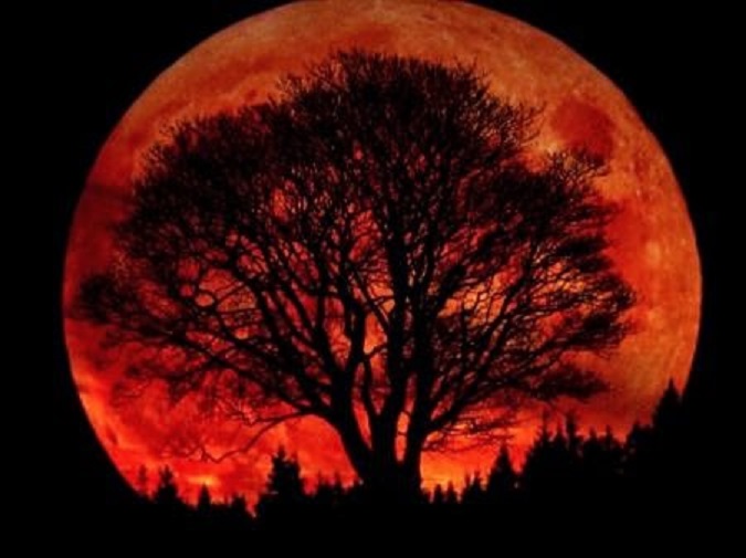 femme - La femme et la Lune ...  Blood-moon