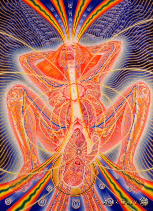 http://alexgrey.com/art/paintings/soul/  ...For me, that baby came thru my crown not my root!! lol
